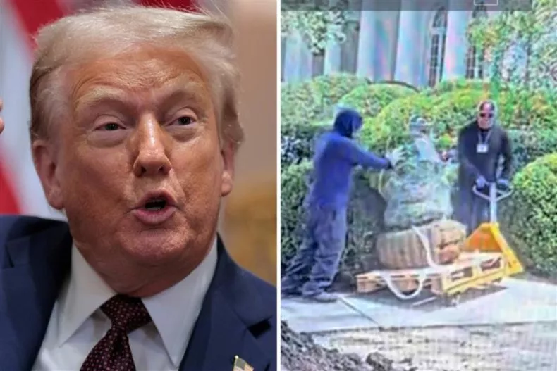 Donald Trump Fumes at Rose Garden Work, Yells, ‘Who Did This?’
