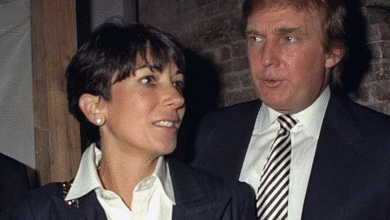 CNN Panelist Says Ghislaine Maxwell Lawyer Just ‘Admitted’ Secret Trump Deal Live on TV